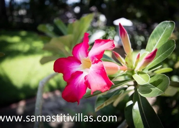 Samastiti Near The Yoga Barn And Private Pool